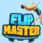 Crazy Flips 3D