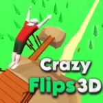 Crazy Flips 3D