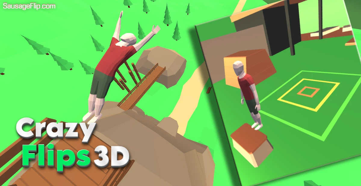 Crazy Flips 3D